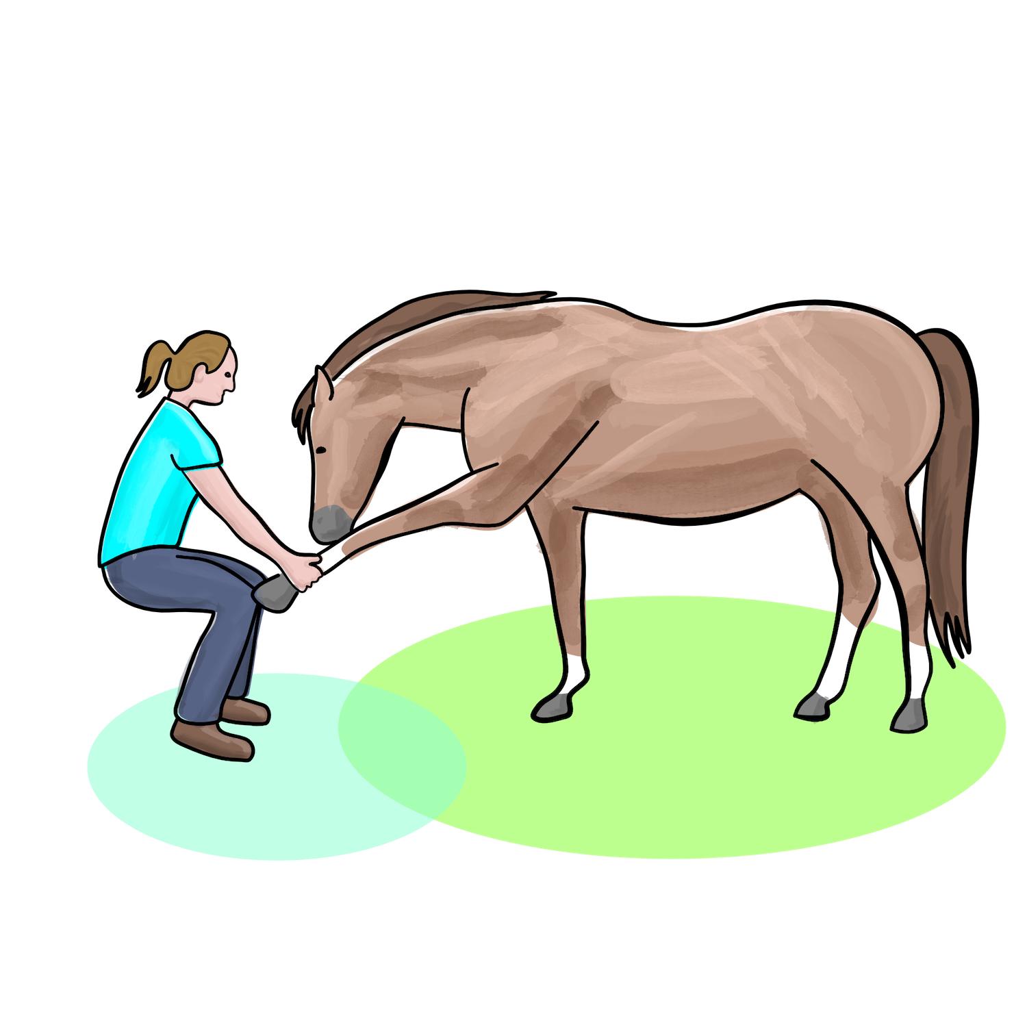 Osteopath mit Dehnungsübungen beim Pferd