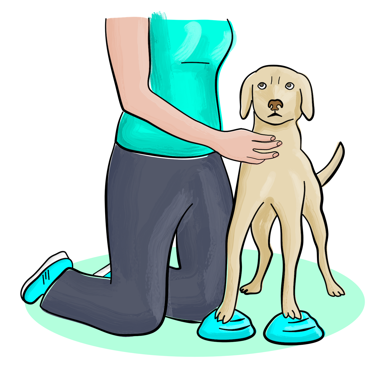 Physiotherapeut mit Gleichgewichtsübung beim Hund